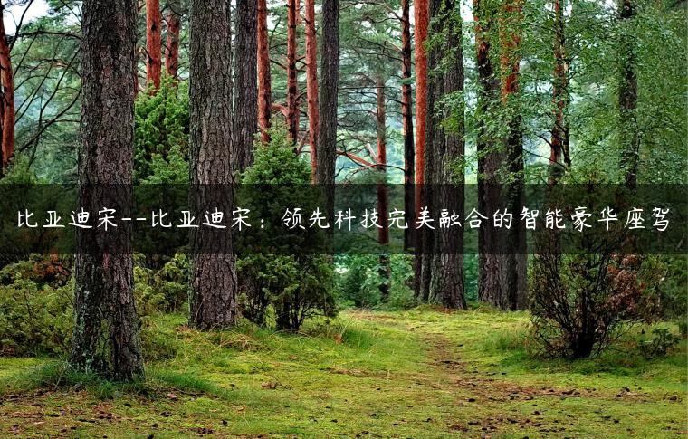 比亚迪宋–比亚迪宋：领先科技完美融合的智能豪华座驾
