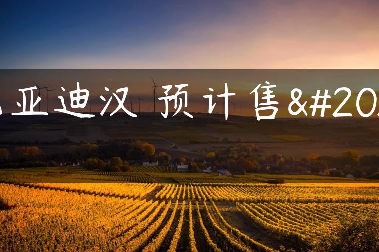 比亚迪汉 预计售价