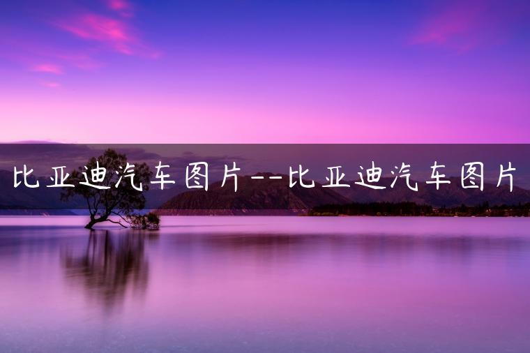 比亚迪汽车图片–比亚迪汽车图片