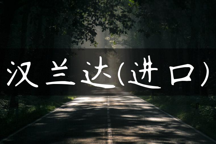汉兰达(进口)