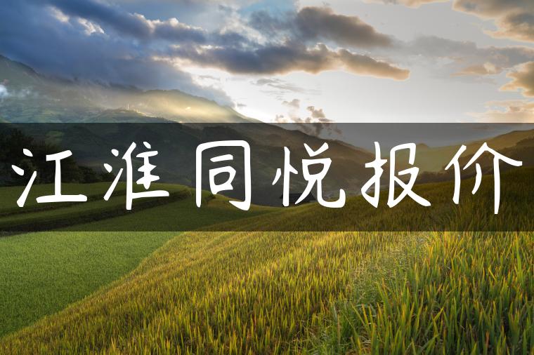 江淮同悦报价