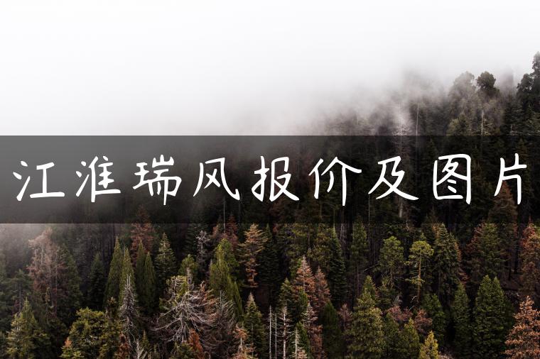 江淮瑞风报价及图片