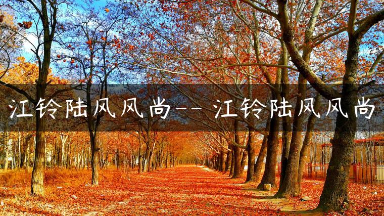 江铃陆风风尚– 江铃陆风风尚