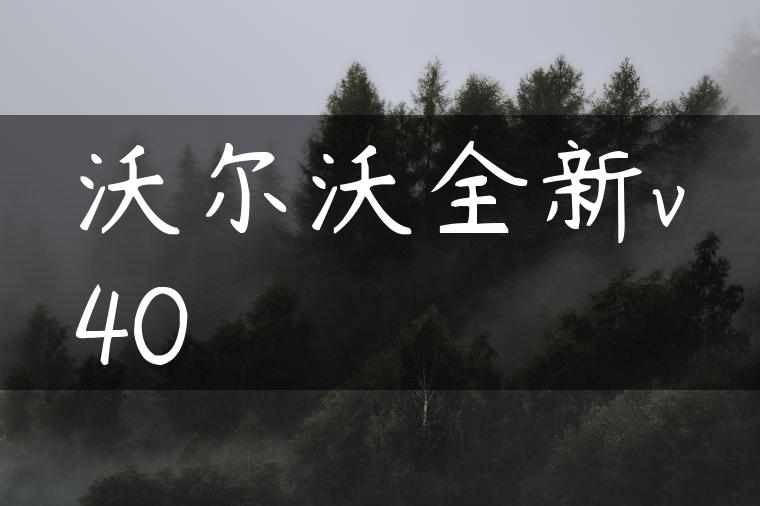 沃尔沃全新v40