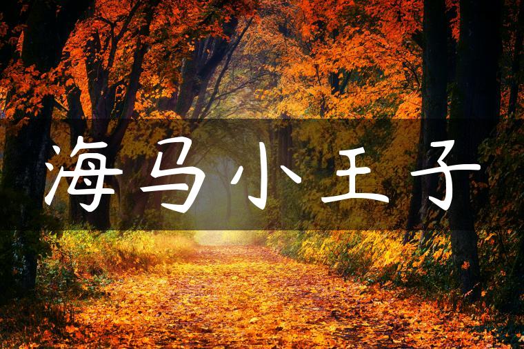 海马小王子