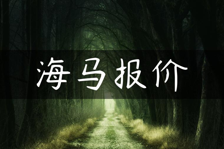 海马报价