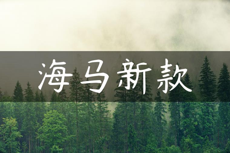 海马新款