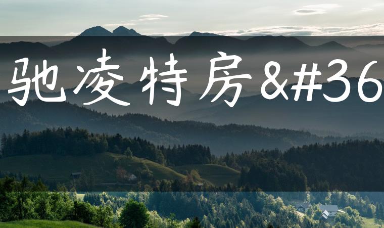 奔驰凌特房车