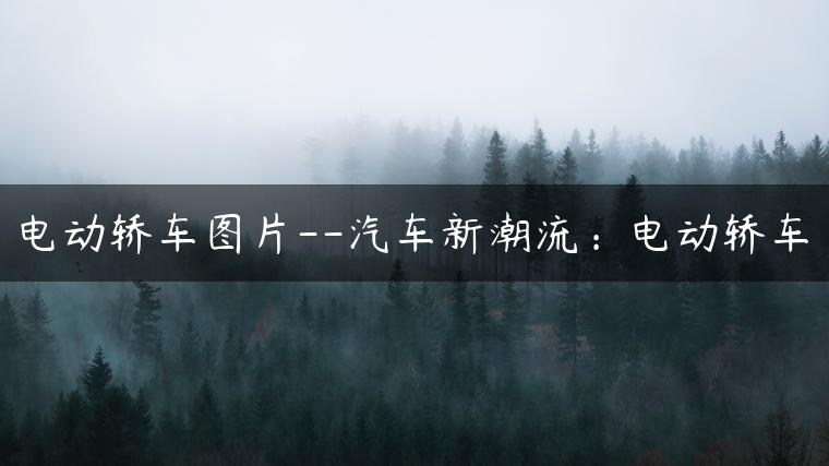 电动轿车图片–汽车新潮流：电动轿车