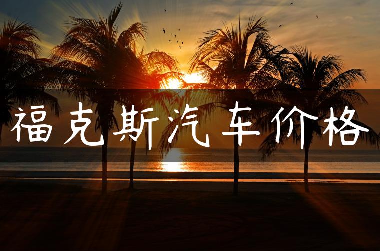 福克斯汽车价格-金牌车友