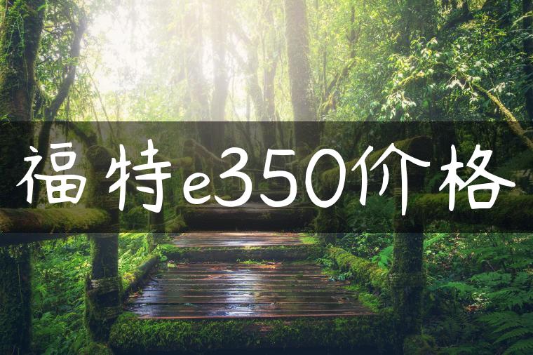 福特e350价格