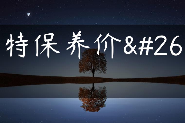 福特保养价格