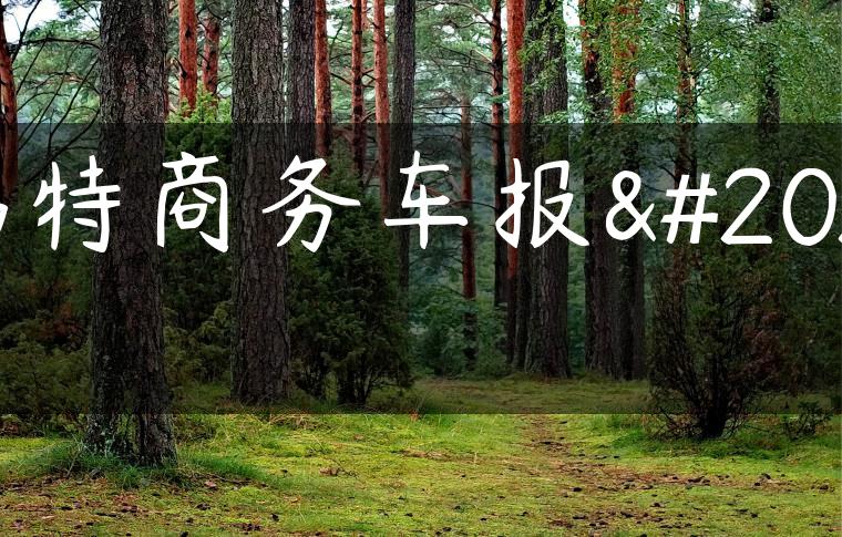 福特商务车报价