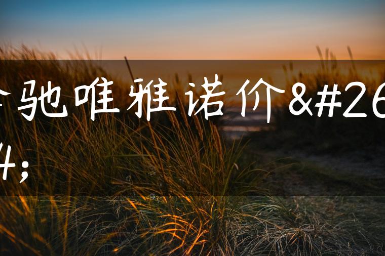 奔驰唯雅诺价格