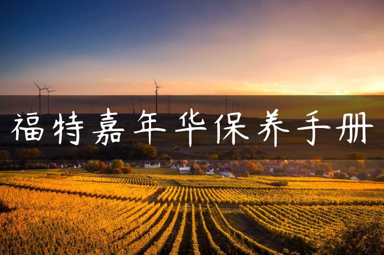 福特嘉年华保养手册