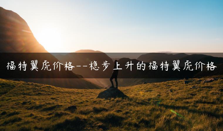 福特翼虎价格–稳步上升的福特翼虎价格