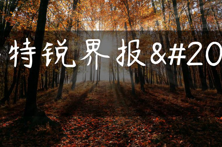 福特锐界报价