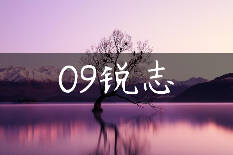 09锐志