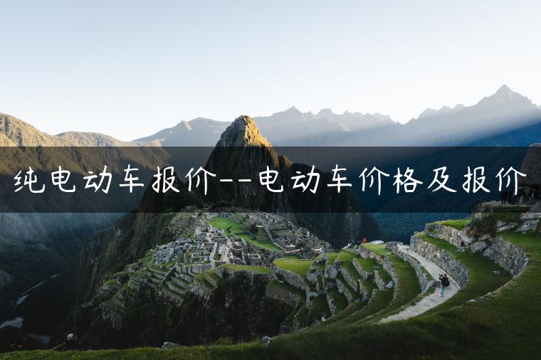 纯电动车报价–电动车价格及报价