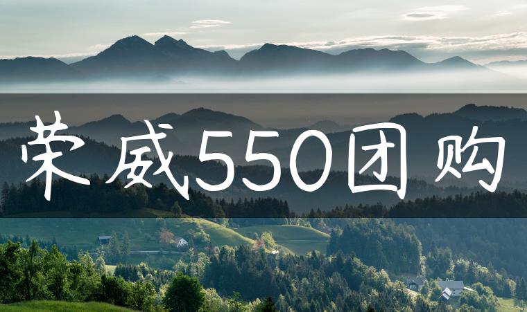 荣威550团购
