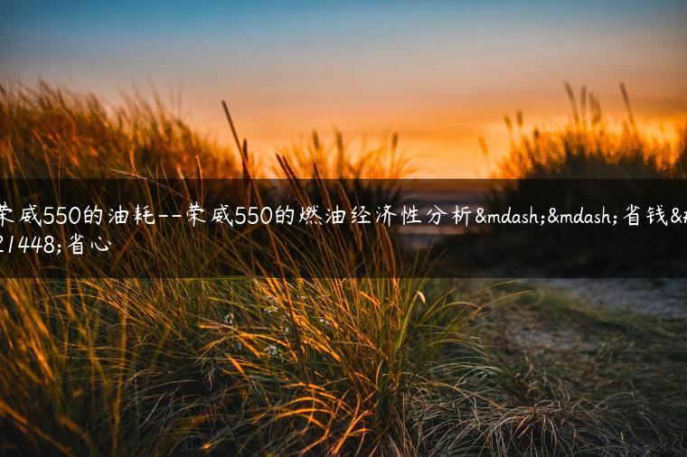 荣威550的油耗–荣威550的燃油经济性分析——省钱又省心