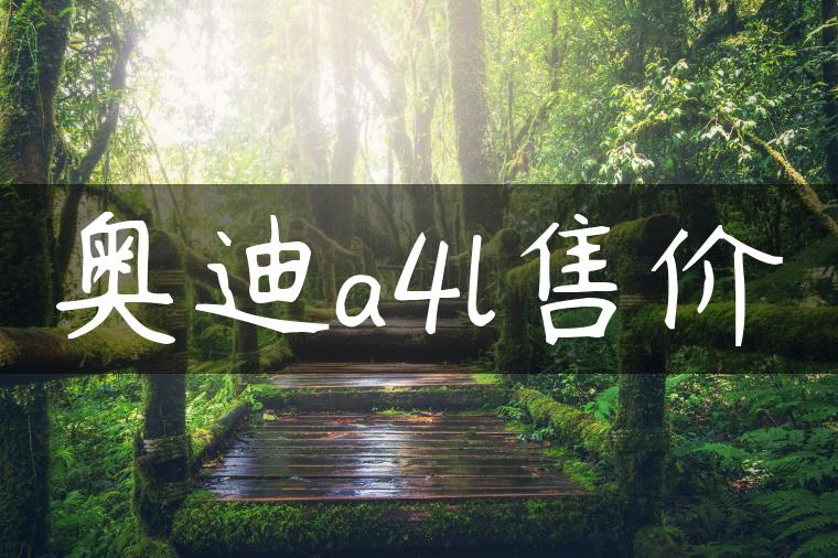 奥迪a4l售价-金牌车友