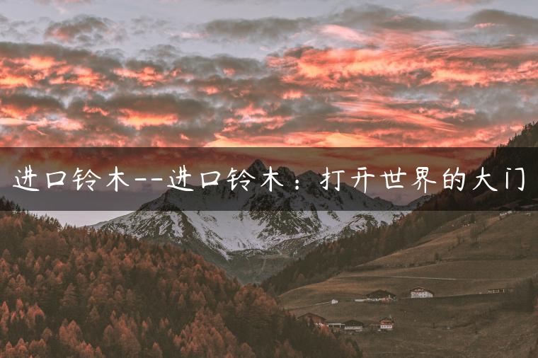 进口铃木–进口铃木：打开世界的大门