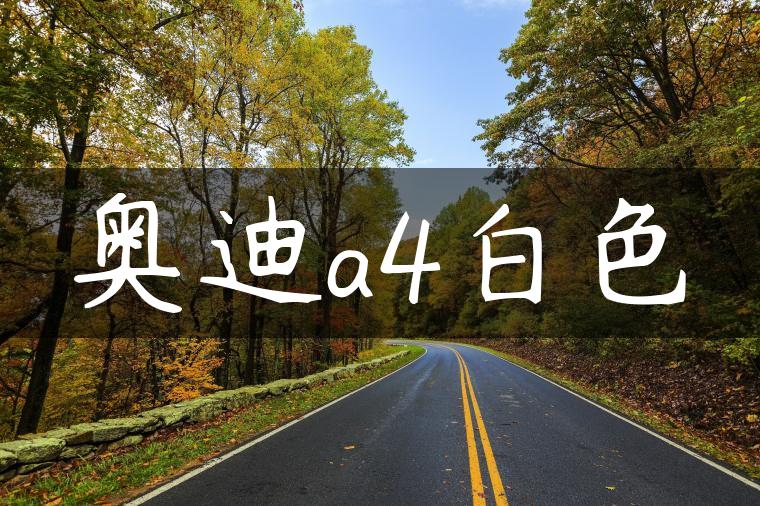 奥迪a4白色