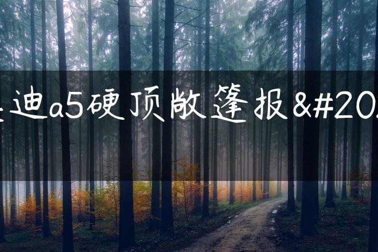 奥迪a5硬顶敞篷报价