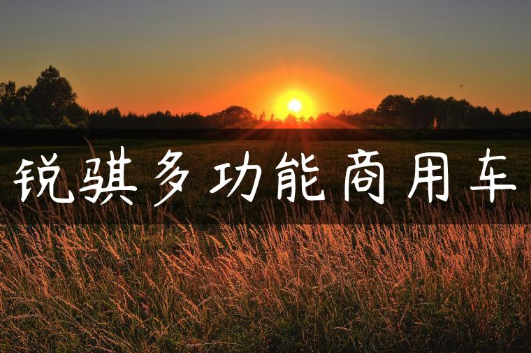 锐骐多功能商用车
