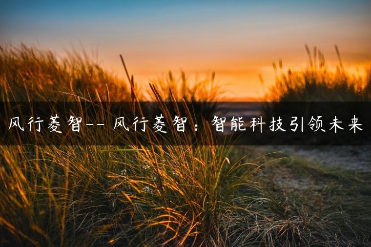 风行菱智– 风行菱智：智能科技引领未来