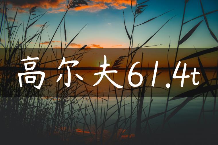 高尔夫61.4t