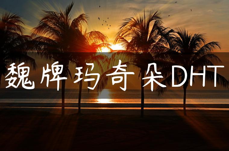 魏牌玛奇朵DHT