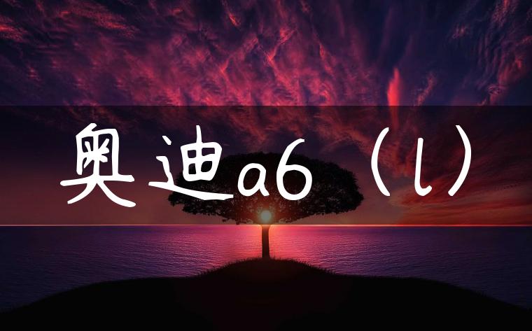 奥迪a6（l）