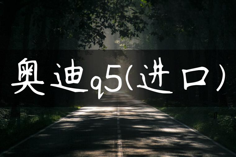 奥迪q5(进口)
