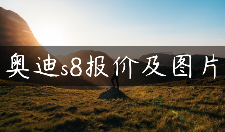 奥迪s8报价及图片-金牌车友