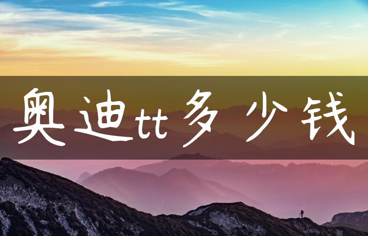 奥迪tt多少钱-金牌车友