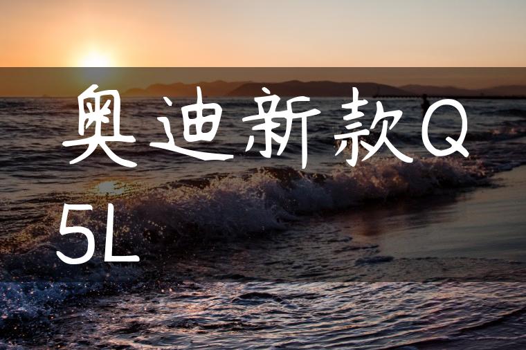 奥迪新款Q5L