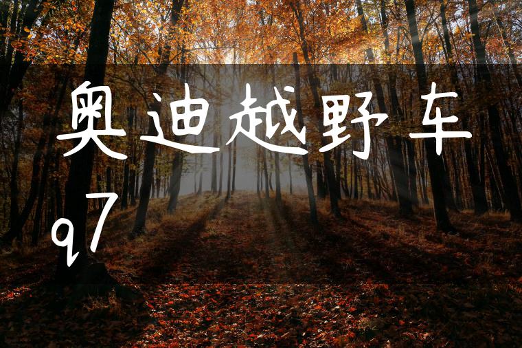 奥迪越野车q7