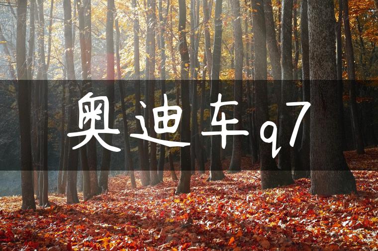 奥迪车q7