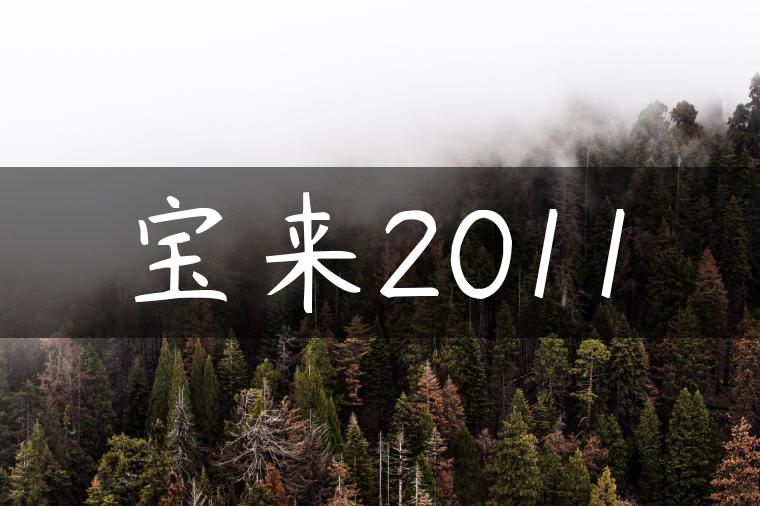 宝来2011-金牌车友