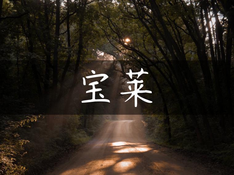 宝莱