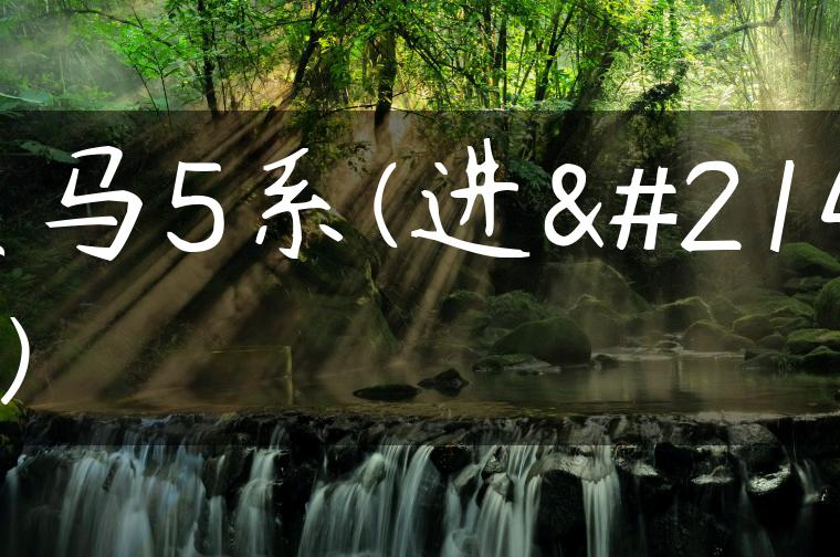 宝马5系(进口)