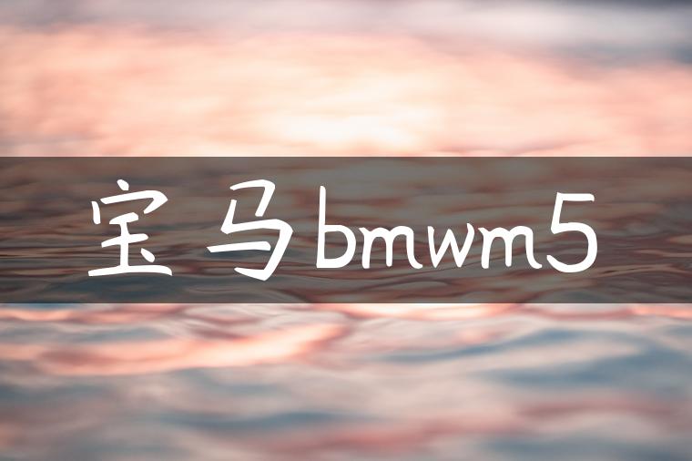 宝马bmwm5