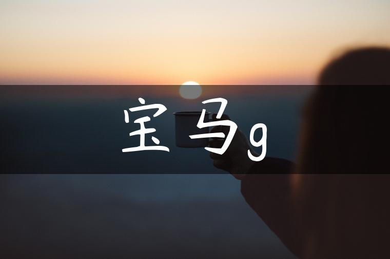 宝马g
