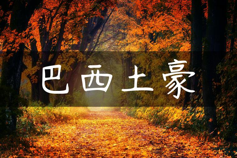 巴西土豪