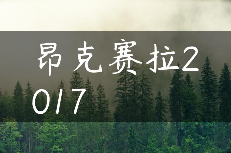 昂克赛拉2017