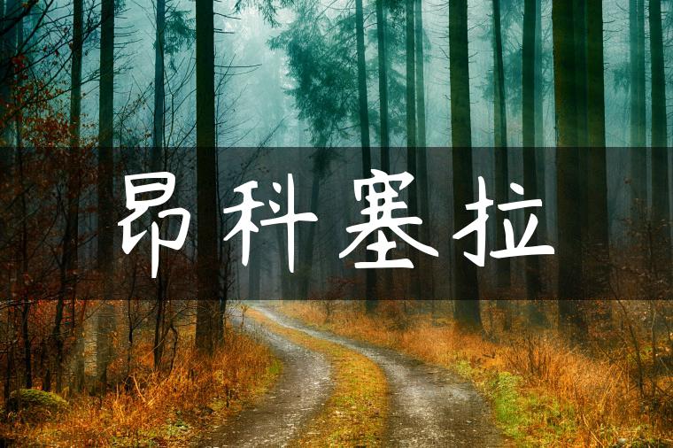 昂科塞拉
