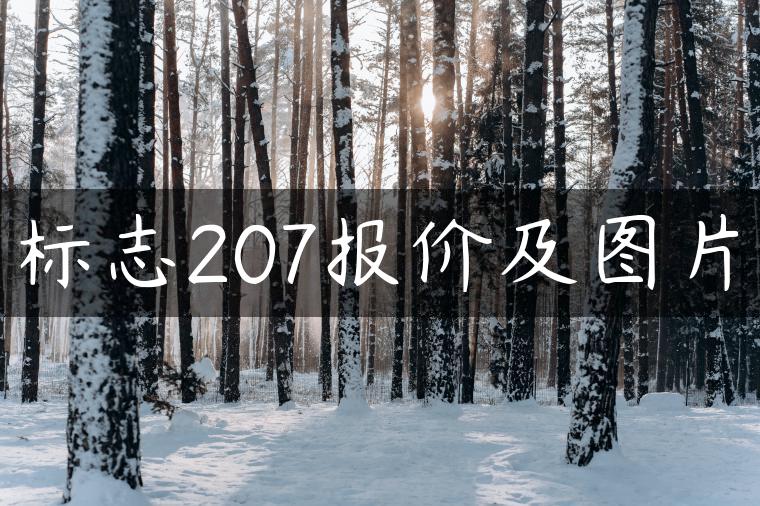 标志207报价及图片
