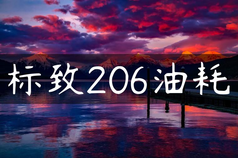 标致206油耗